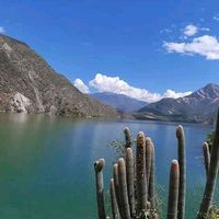viajes86rey