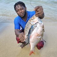 spearfishing_withodane