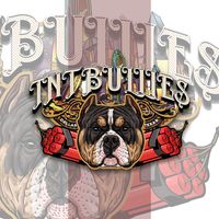t.n.t.bullies