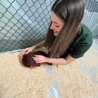 hayloft by mother mother