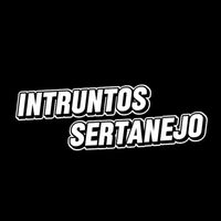 intruntos.sertanejo