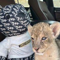 cuando no era cantante remix