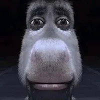 el q use el audio es gei