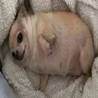 ccryingbaby