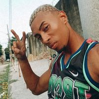 pedrohenrique15758