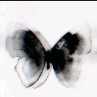 suara asli - 🎀🎀