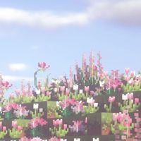 minecraft.inspo4u