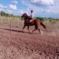 octavioalegre2
