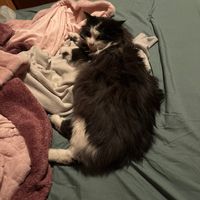 gimmieyouraddy677777