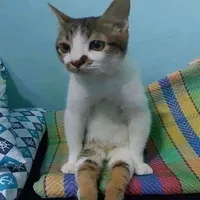 конечно сосала