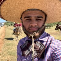 ingomezz