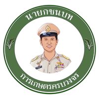 nayokchonnabot