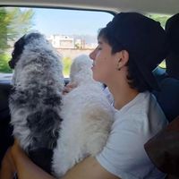 etiennevillaloboss