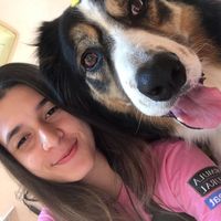 javarez_dogsense