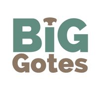 biggotes_oficial