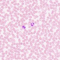 biomedicinareal