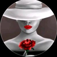 user4237177987354