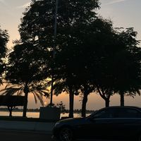 idaramanzil786