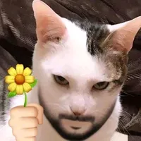 A F T E R S C H O O L