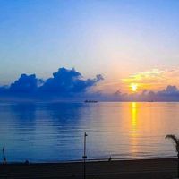 anisimmolocationaprt