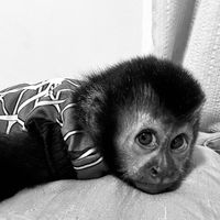 xx_bigbodylittleheart_xx