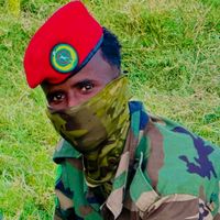 willqaransakarye.dayib0