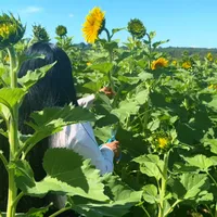 original sound - fany.loarca