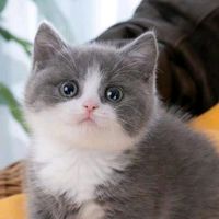 sandi_11223