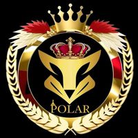 si.polar.06