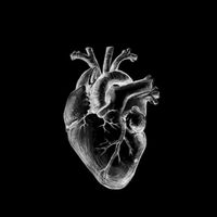 suara asli - bara_Mei05