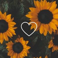 finding.wallpapers_4u