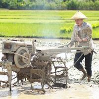 suara asli - hanyapetanimuda