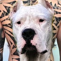 biggiedelcasacorteskenne