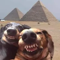 original sound - music_g.s