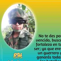 original sound - h.euler