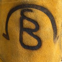 sb.horseshoecreations_19