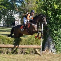 equinekendall