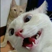 hinata_da_quebrada16