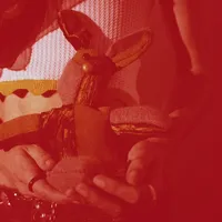 Ur so crazy I think I wanna shot