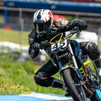 stuardo554