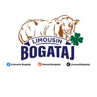 bogatajlimousingenetics