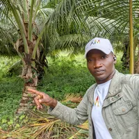 original sound - fortification.et