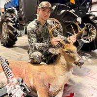 original sound - elec.m