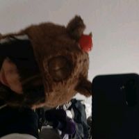 smallbut_mightybear