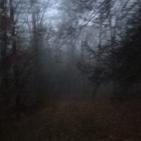 onlyserenawouldsaythat