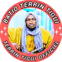 batio.terrain.tig