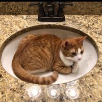 ilov3chickennuggets1