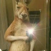 cracklemur413