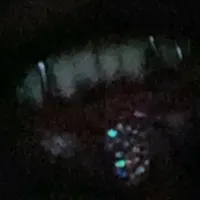 xander bray wuz here