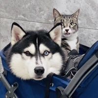 viciiandvivi